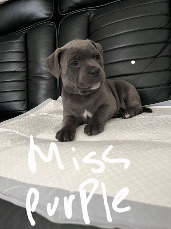 Ready too leave now! - Image 10 of 12