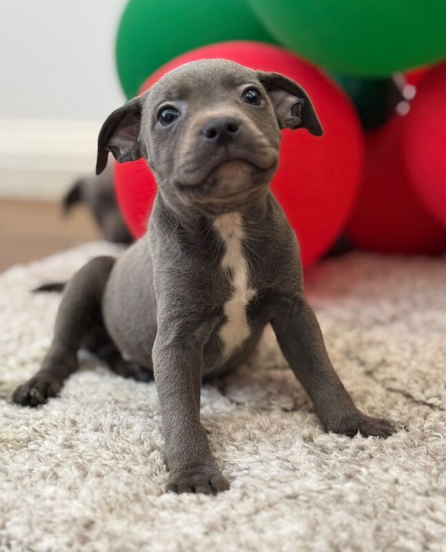 Fully Vaccinated! - Image 10 of 14