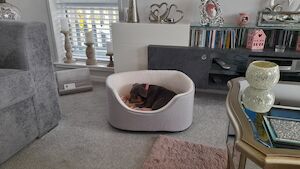 Jackie Jordan