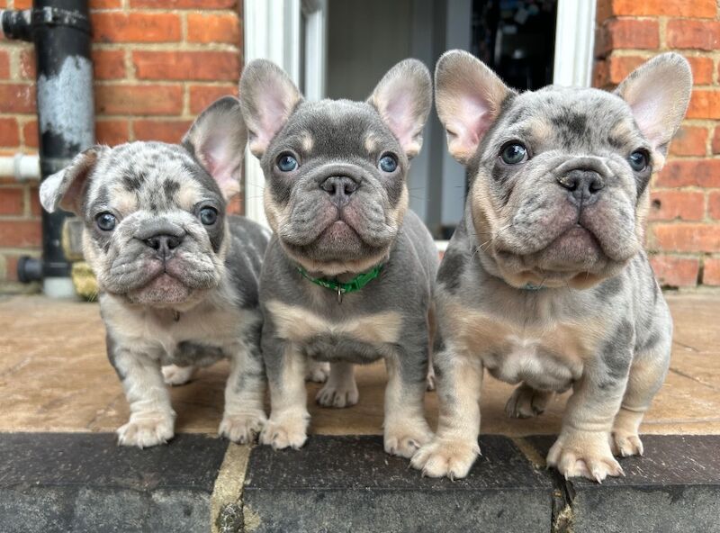 Katie Johnson - Private Seller - Image 8