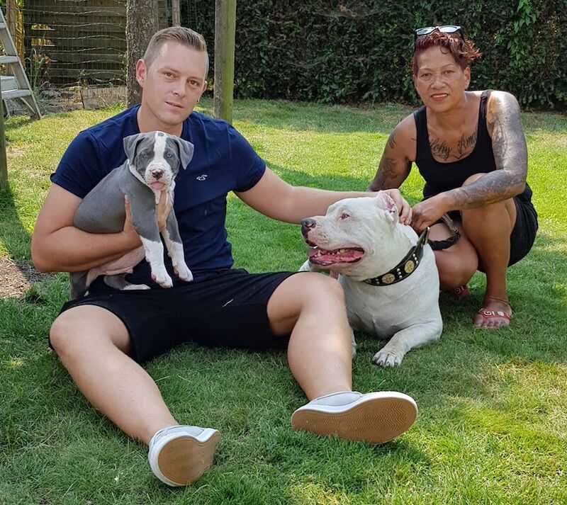 Molly Rose - Staffie Breeder - Image 1